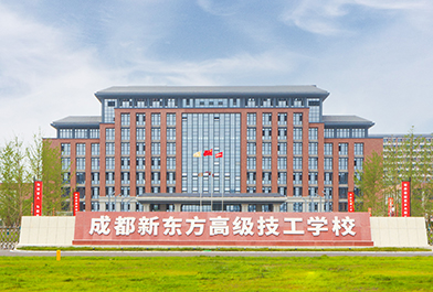 专业教学